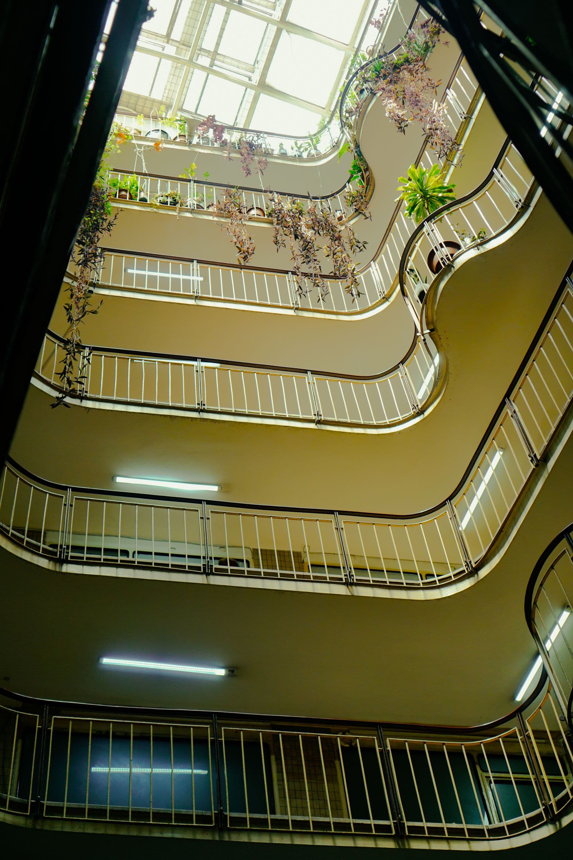 Licht, rustig atrium van een moderne zorgomgeving